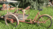 Triciclo n.3260.0.0 Triciclo n.3260.0.0